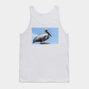 Brown pelican bird of prey Tank Top